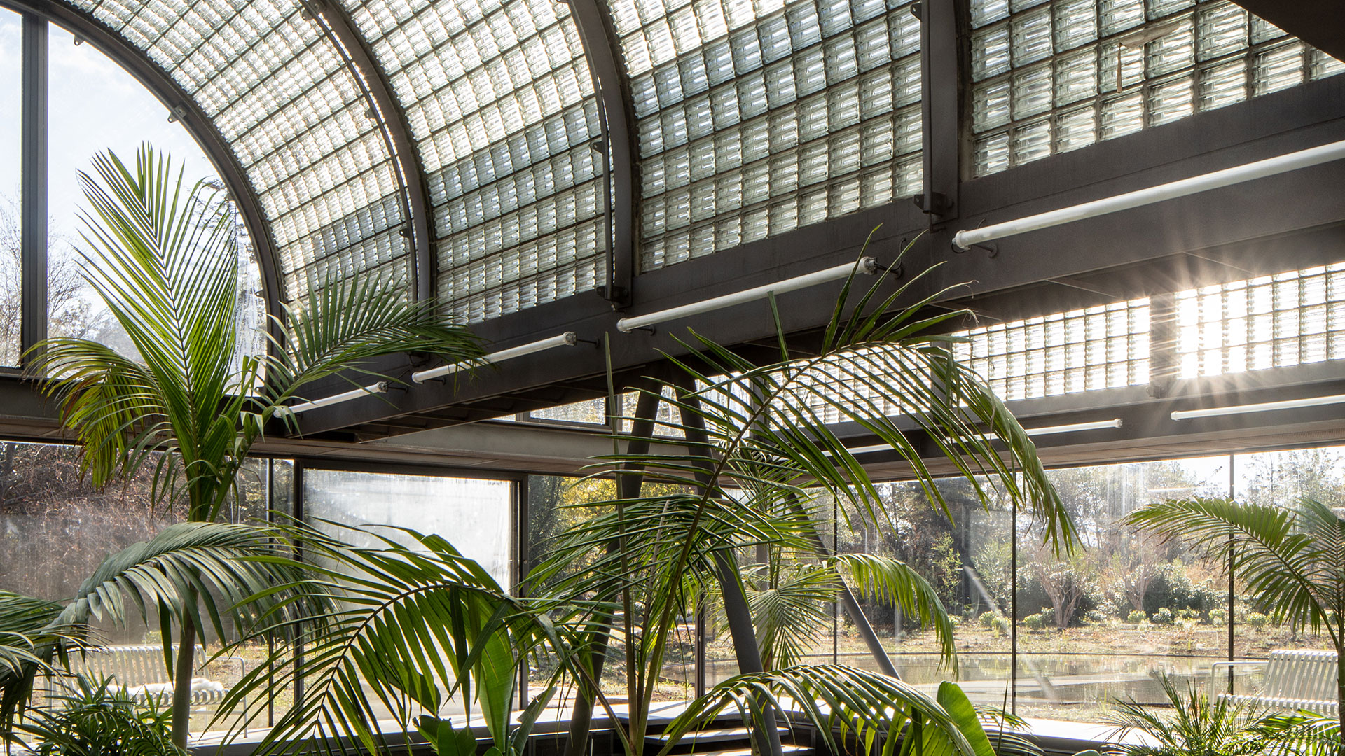 Greenhouse